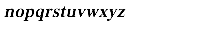 Shree Oriya 3034 Italic Font LOWERCASE