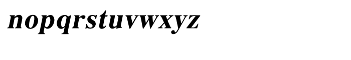 Shree Punjabi 1752 Italic Font LOWERCASE