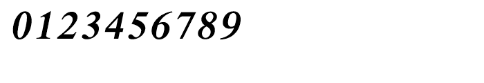 Shree Tamil 3919 Italic Font OTHER CHARS