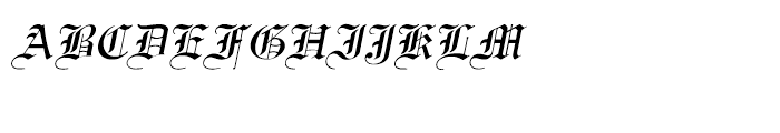 Shree Telugu 1647 Italic Font UPPERCASE