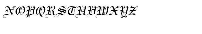 Shree Telugu 1647 Italic Font UPPERCASE