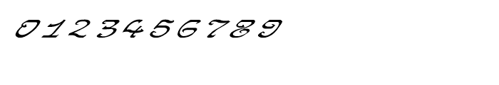 Shree Telugu 1678 Italic Font OTHER CHARS