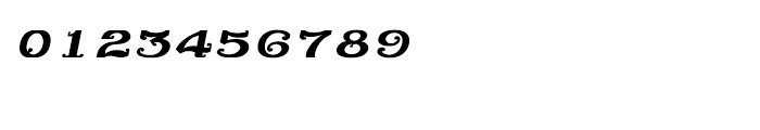 Shree Telugu 1680 Italic Font OTHER CHARS