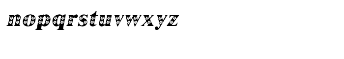 Shree Telugu 2962 Italic Font LOWERCASE
