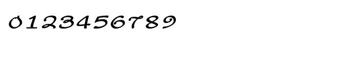 Shree Telugu 2997 Italic Font OTHER CHARS