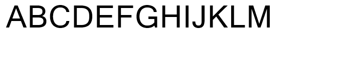 Shruti Regular Font UPPERCASE