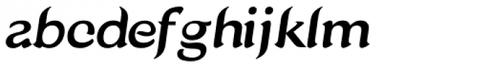 Shanklin Italic Font LOWERCASE