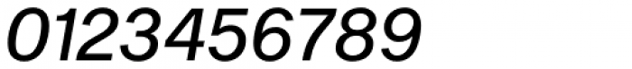 Shapiro Pro 446 Italic Font OTHER CHARS