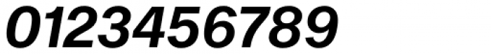 Shapiro Pro 466 Italic Font OTHER CHARS