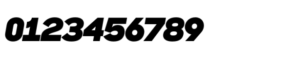 Sharp Sans Display PE Black Italic Font OTHER CHARS
