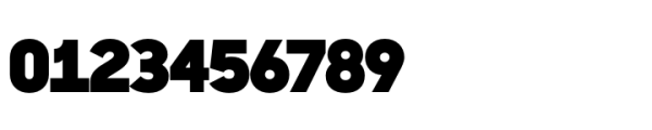 Sharp Sans Display PE Black Font OTHER CHARS