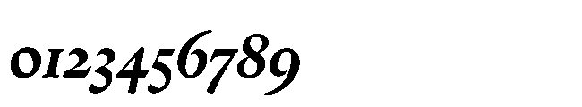 Sharp Serif Text Bold Italic Font OTHER CHARS