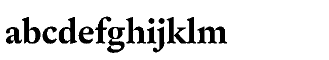 Sharp Serif Text PE Bold FONT