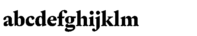 Sharp Serif Text PE Extrabold FONT