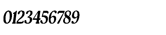 Shelian Hard Condensed Italic Font OTHER CHARS