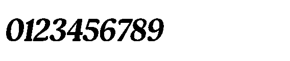 Shelian Hard Contrast Italic Font OTHER CHARS