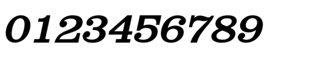 Shenandoah Clarendon Bold Italic Font OTHER CHARS