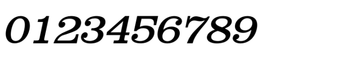 Shenandoah Clarendon Italic Font OTHER CHARS