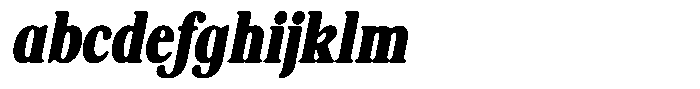 Shequan Soft Black Condensed Italic FONT