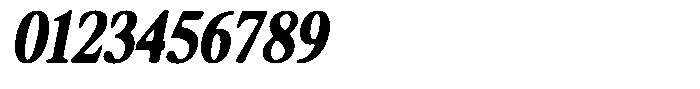 Shequan Soft Bold Condensed Italic Font OTHER CHARS