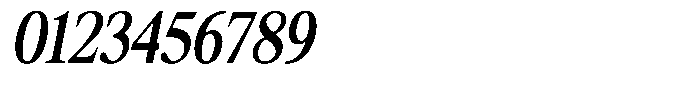 Shequan Soft Shequan Medium Condensed Italic Font OTHER CHARS