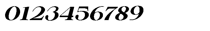 Shiffont Serif Bold Expanded Italic Font OTHER CHARS
