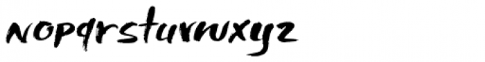 Shinano Italic Font LOWERCASE