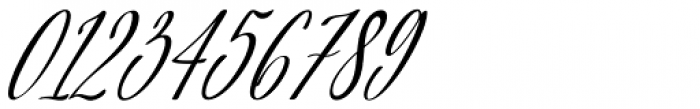 Shington Script Regular Font OTHER CHARS