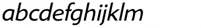 Shinn RR Book Italic Font LOWERCASE