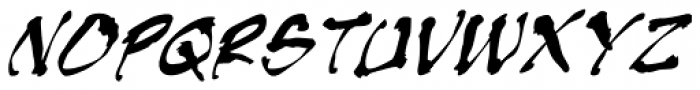 Shinobi BB Italic Font LOWERCASE