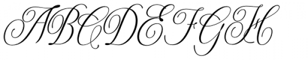Shintosa Script Italic Font UPPERCASE