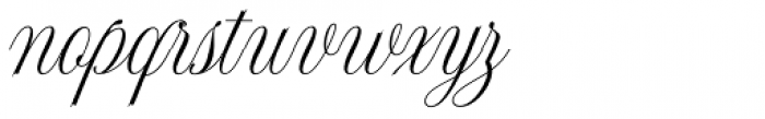 Shintosa Script Italic Font LOWERCASE
