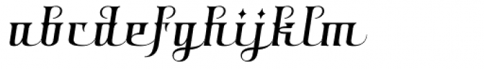 Shiraz Italic Font LOWERCASE