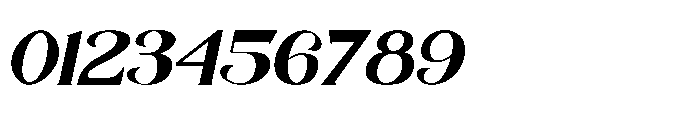 Shoney Italic Regular Font OTHER CHARS