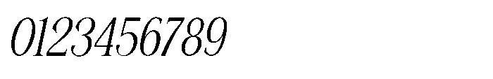 Shoshin Condensed Italic Font OTHER CHARS