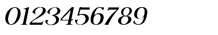 Shoshin Extra Bold Semi Expanded Italic Font OTHER CHARS