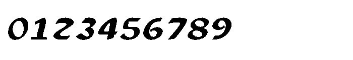 Shree Dev4934 Italic Font OTHER CHARS
