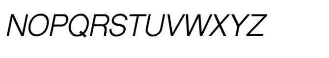 Shree Devanagari 1238 Italic Font UPPERCASE