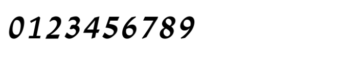 Shree Devanagari 2335 Bold Italic Font OTHER CHARS