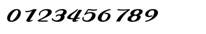 Shree Devanagari 4601 Italic Font OTHER CHARS