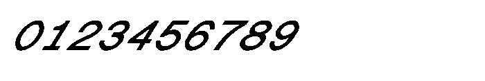 Shree Devanagari 4917 Shree Dev4917 Black Italic Font OTHER CHARS