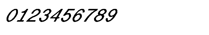 Shree Devanagari 4917 Shree Dev4917 Bold Italic Font OTHER CHARS