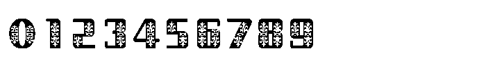 Shree Devanagari 4965 Font OTHER CHARS