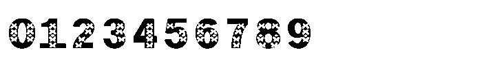 Shree Devanagari 4971 Font OTHER CHARS