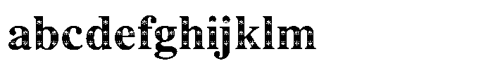 Shree Devanagari 4975 FONT