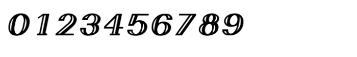 Shree Devanagari 4977 Italic Font OTHER CHARS