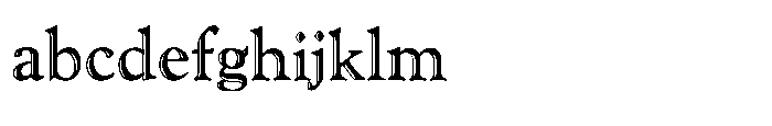 Shree Devanagari 4989 FONT