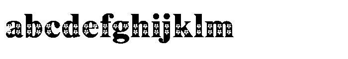 Shree Devanagari 5020 FONT