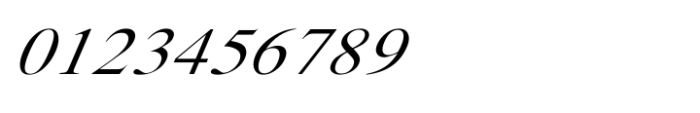 Shree Devanagari 5609 Italic Font OTHER CHARS