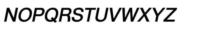 Shree Gujarati 1171 Italic Font UPPERCASE